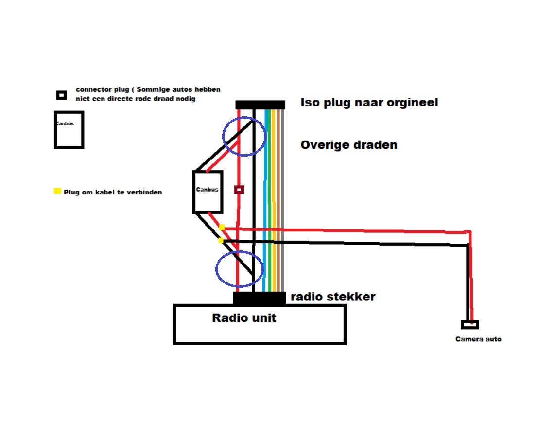 Knoppen_2021-03-13.jpg